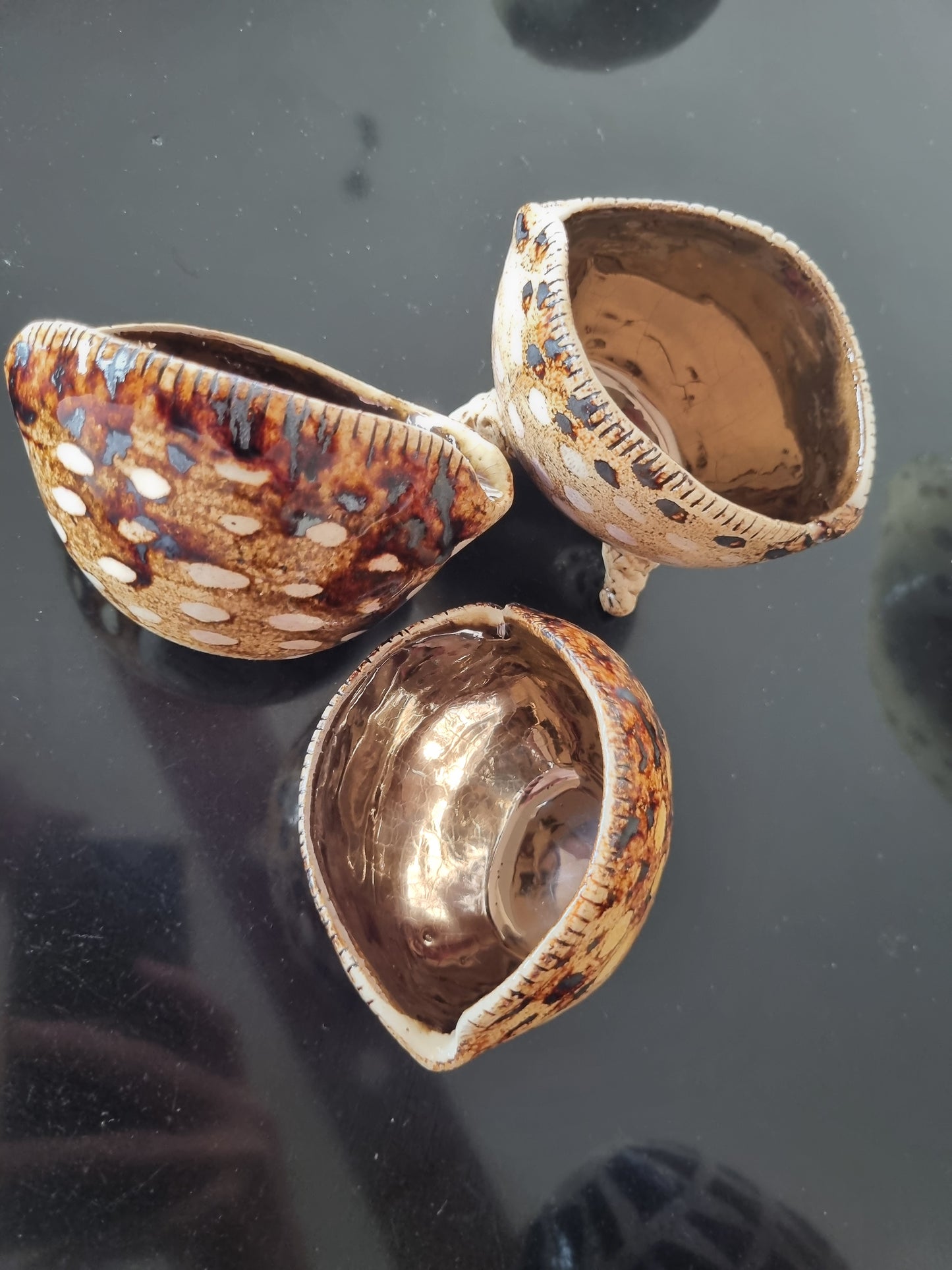 Tiger Shell Ceramic Bowl (Small) with feet