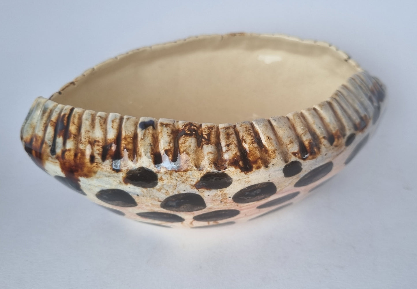 Black Cone Shell Ceramic Bowl (Large)