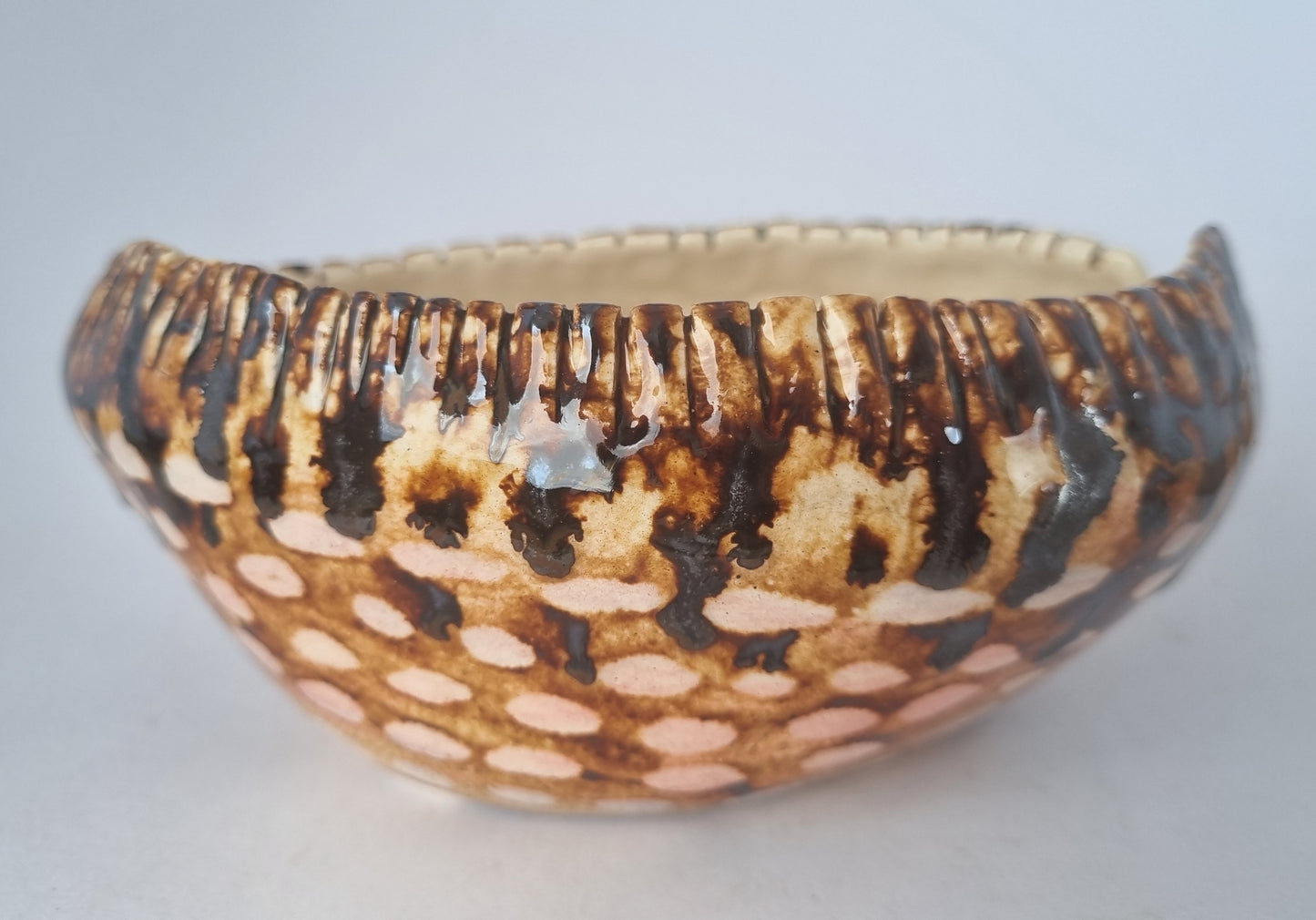 Tiger Shell Ceramic Bowl (Large)