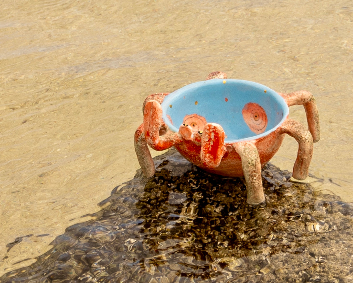 Crab (small) Ceramic Model