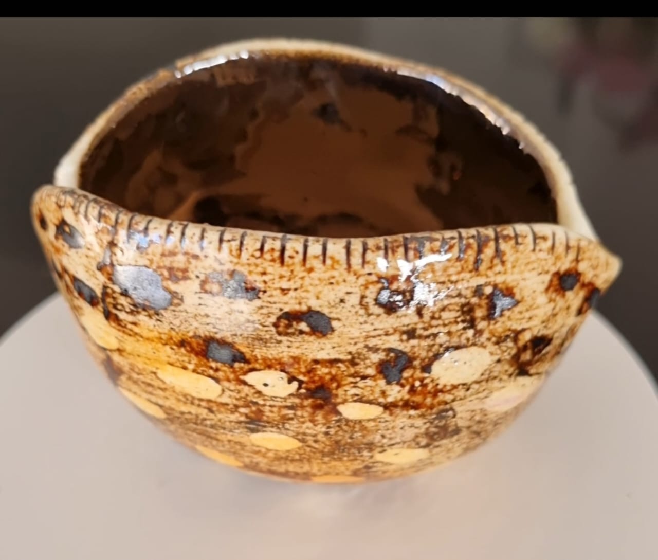 Tiger Shell Ceramic Bowl (Small)